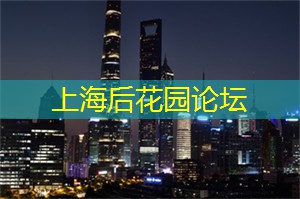 爱上海：新编现代京剧