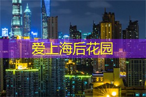 上海新茶工作室微信：上海会所：领略独一无二的盛会文化，参与那些令人难以忘怀的社交
